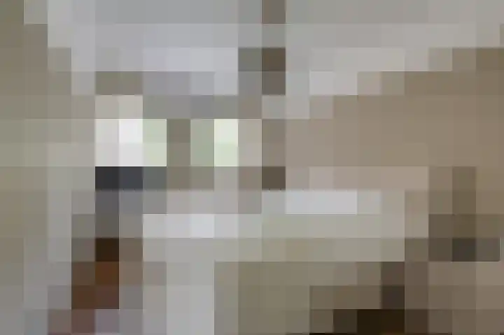 de Meidoorn 5 Didam thumbnail 40