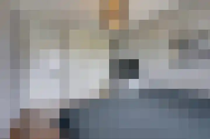 de Meidoorn 5 Didam thumbnail 43