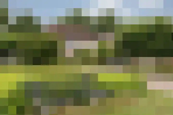 de Meidoorn 5 Didam thumbnail 5