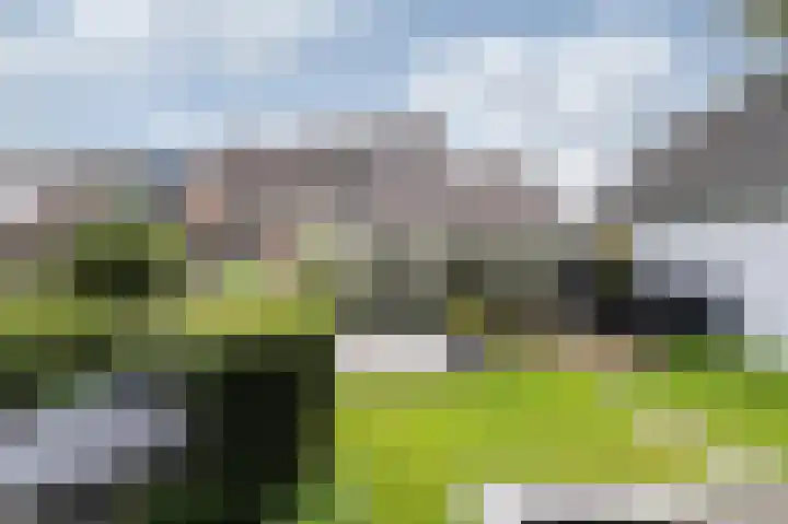 de Meidoorn 5 Didam thumbnail 56