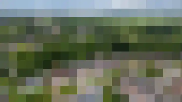 de Meidoorn 5 Didam thumbnail 6