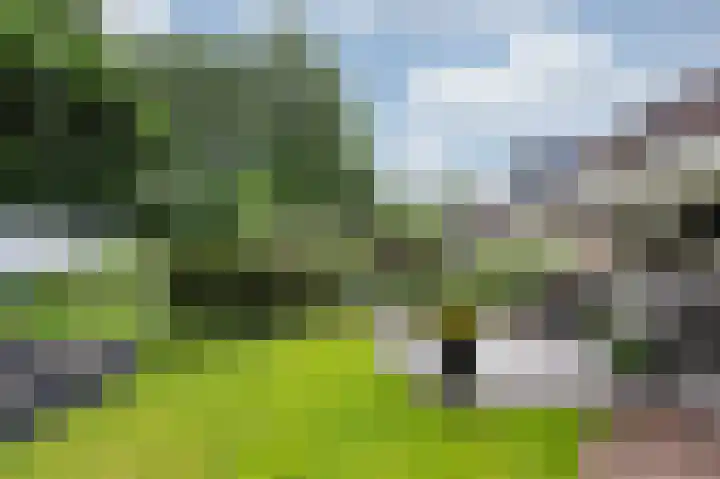 de Meidoorn 5 Didam thumbnail 60