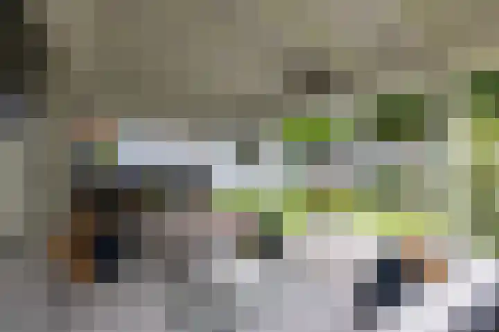 de Meidoorn 5 Didam thumbnail 61