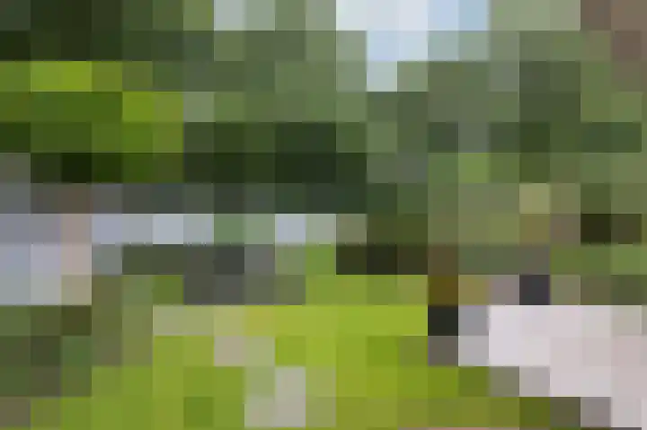 de Meidoorn 5 Didam thumbnail 65