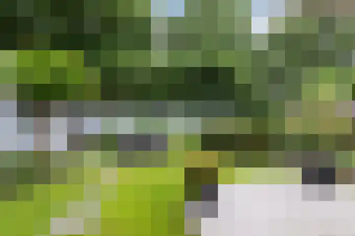 de Meidoorn 5 Didam thumbnail 66