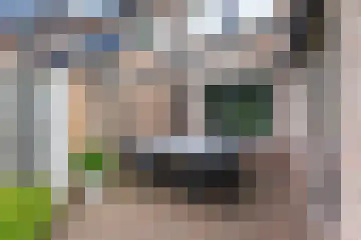 de Meidoorn 5 Didam thumbnail 67