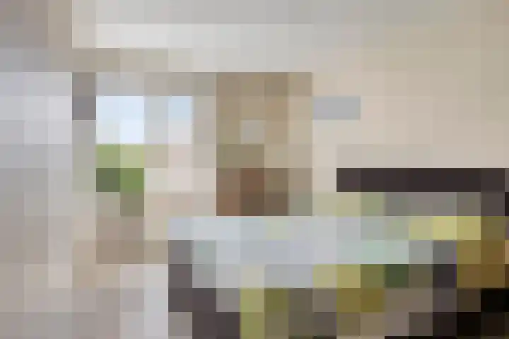 de Meidoorn 7 Boxmeer thumbnail 10
