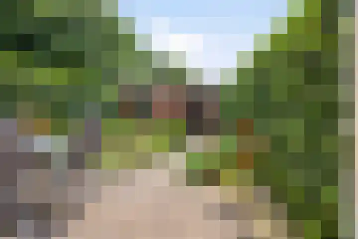 de Meidoorn 7 Boxmeer thumbnail 15