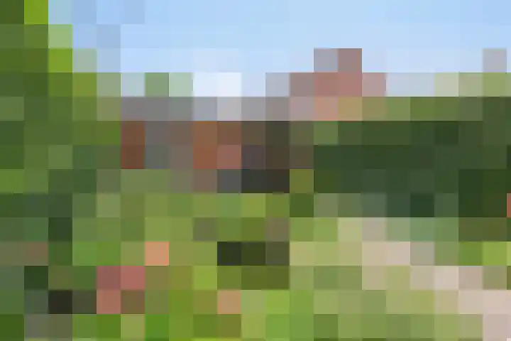 de Meidoorn 7 Boxmeer thumbnail 16