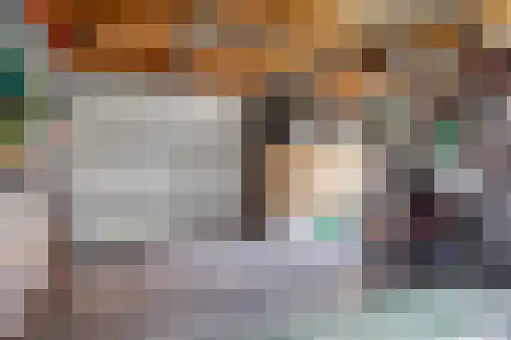 de Meidoorn 7 Boxmeer thumbnail 19