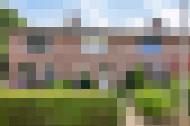 de Meidoorn 7 Boxmeer thumbnail 28