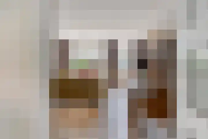 de Meidoorn 7 Boxmeer thumbnail 4