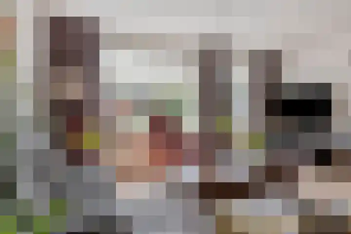 de Meidoorn 7 Boxmeer thumbnail 6
