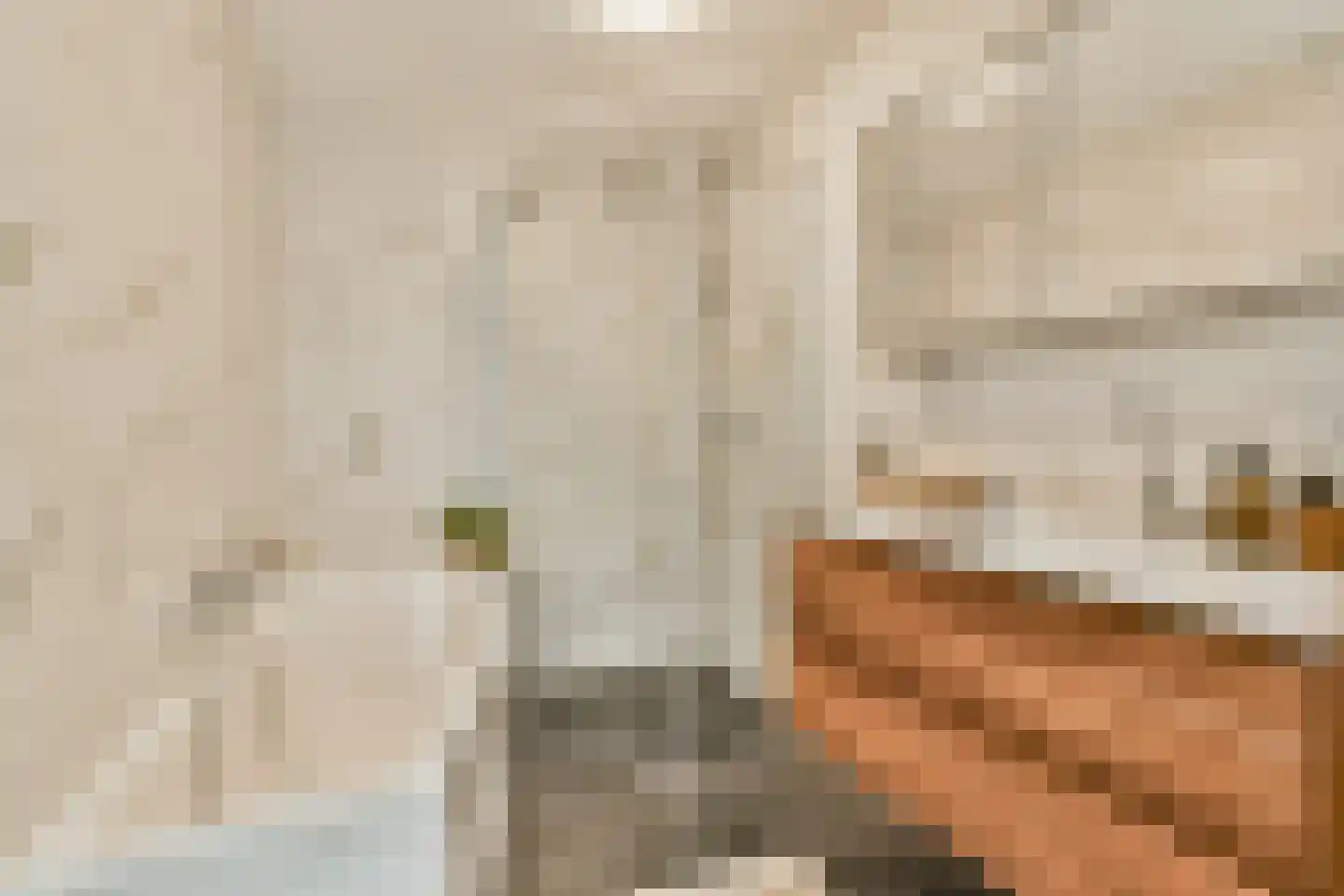 De Meij van Streefkerkstraat 100 Leiden thumbnail 19