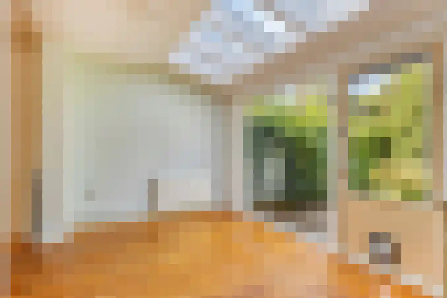 De Meij van Streefkerkstraat 15 Leiden thumbnail 12