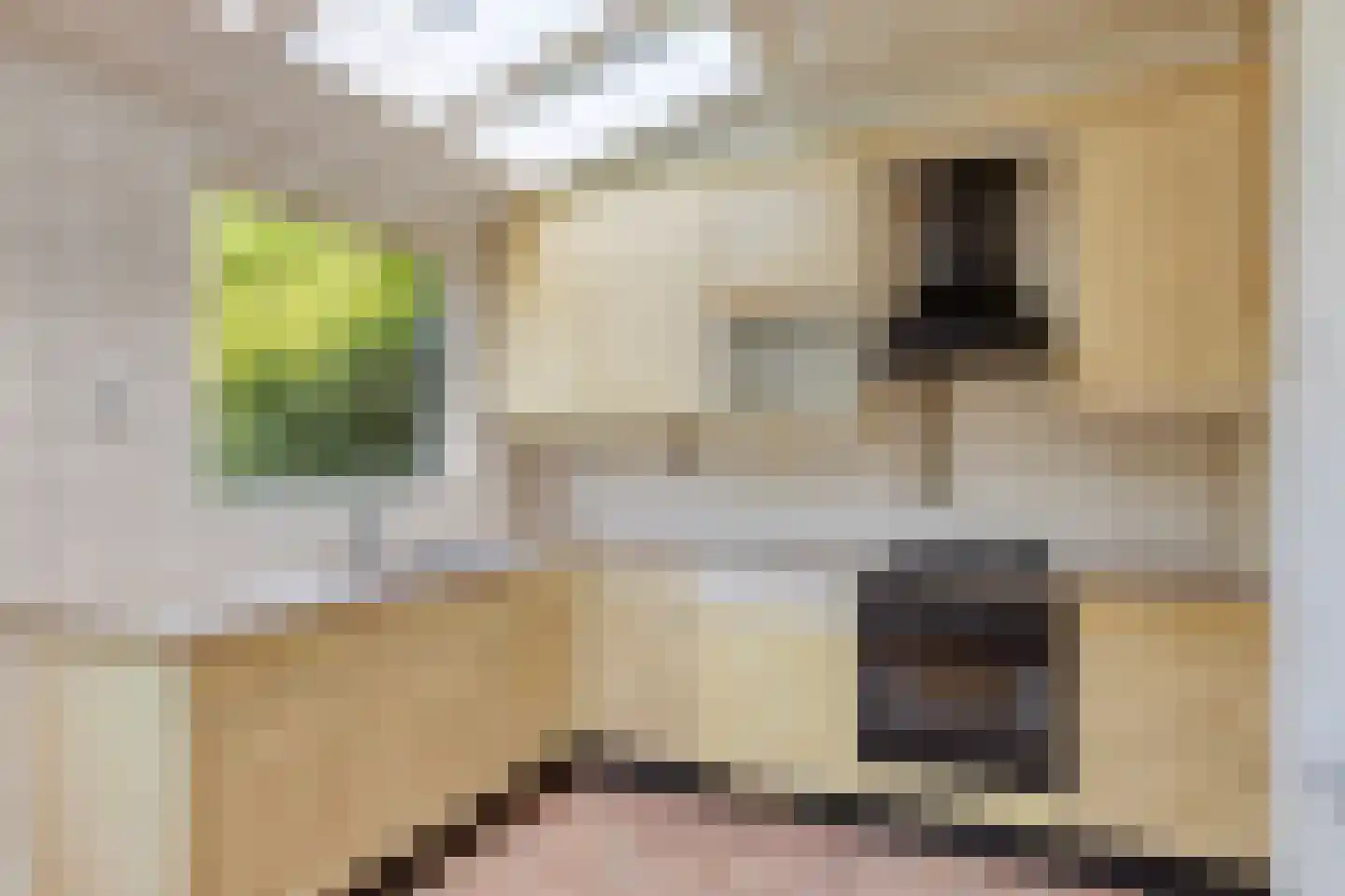 De Meij van Streefkerkstraat 15 Leiden thumbnail 14