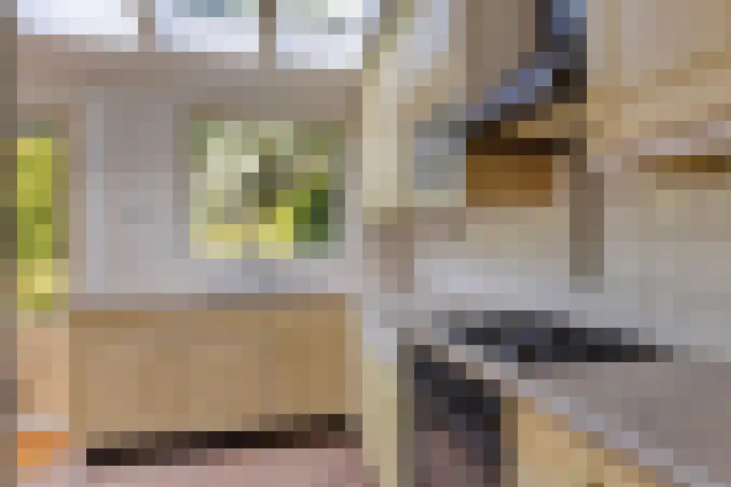 De Meij van Streefkerkstraat 15 Leiden thumbnail 15