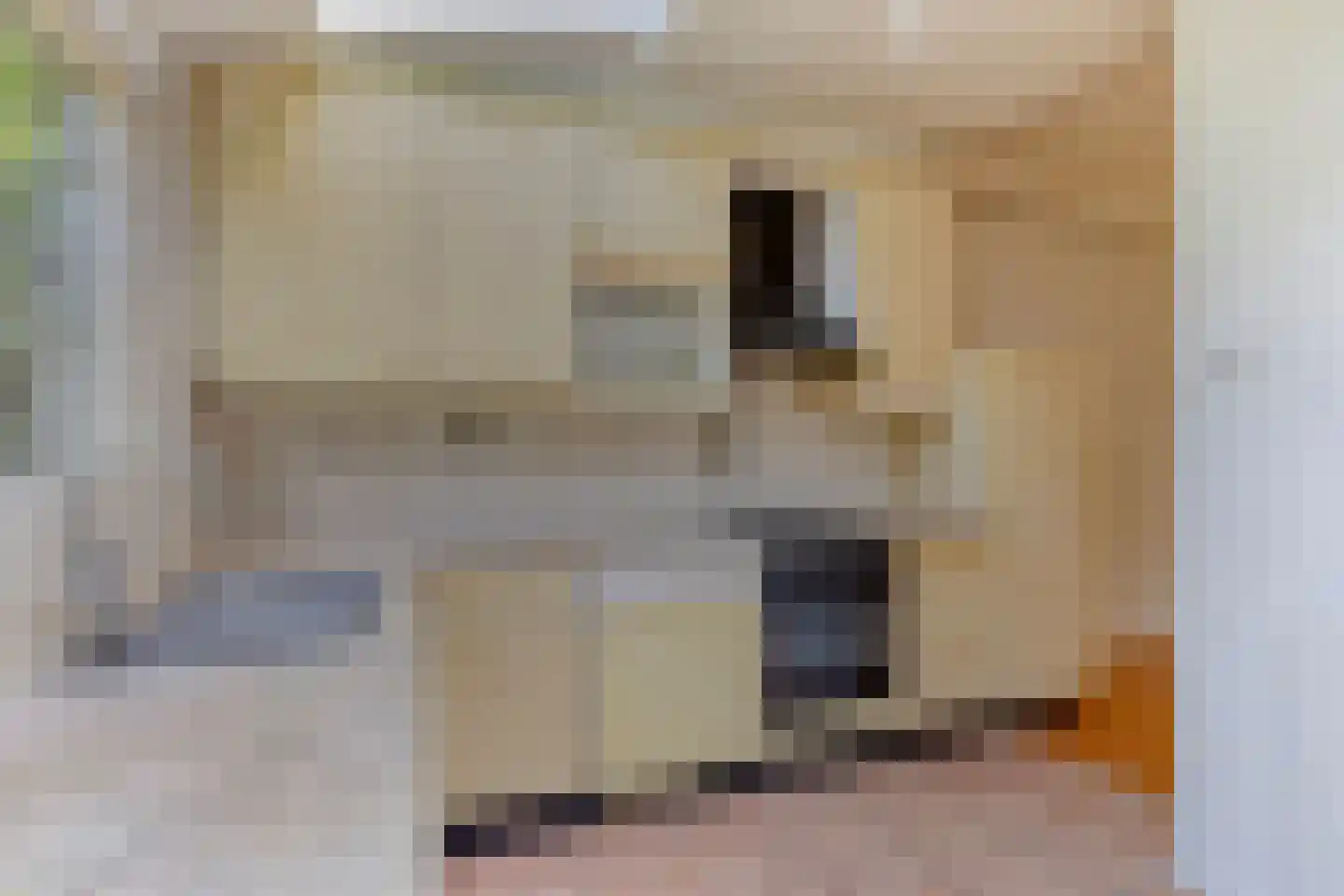 De Meij van Streefkerkstraat 15 Leiden thumbnail 16