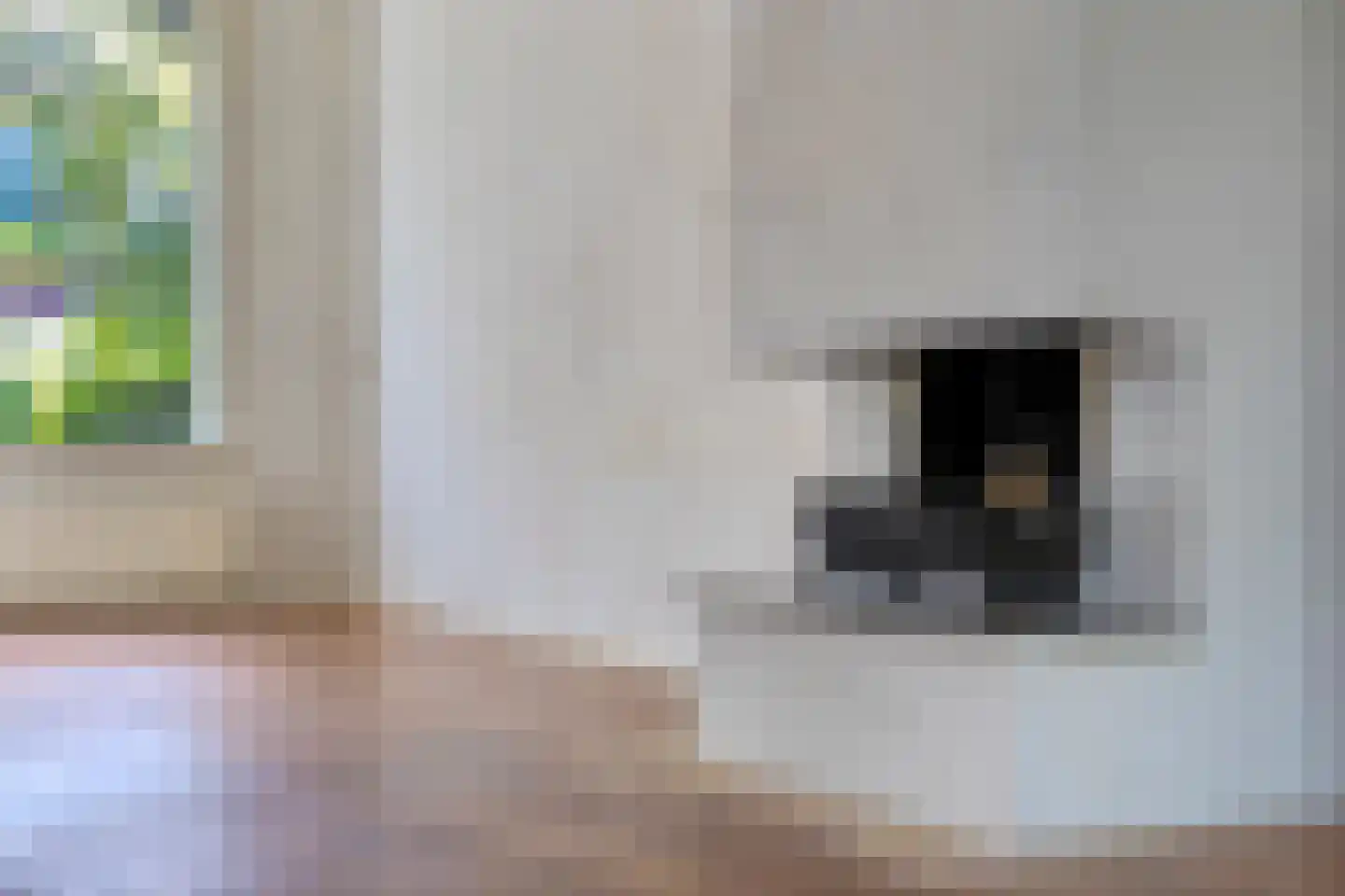 De Meij van Streefkerkstraat 15 Leiden thumbnail 17