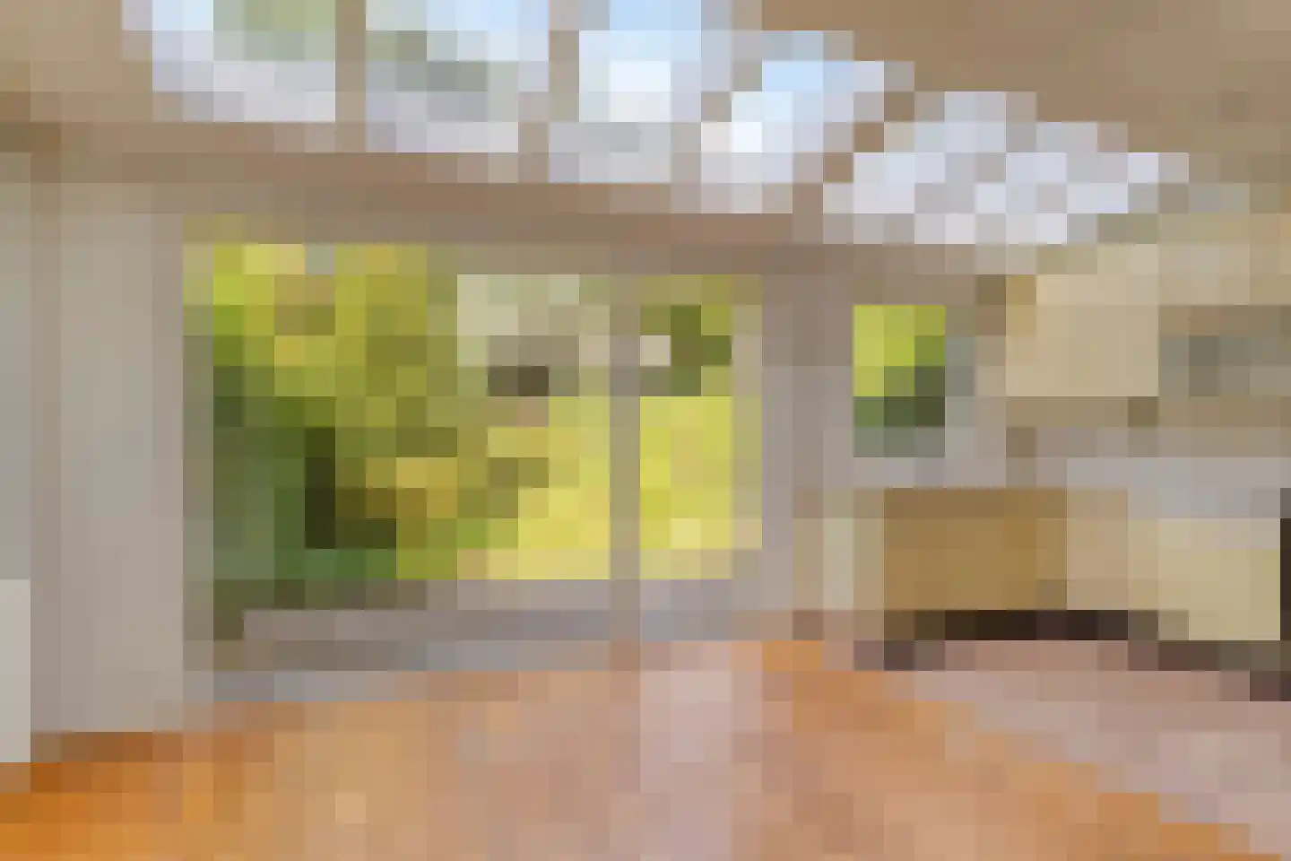 De Meij van Streefkerkstraat 15 Leiden thumbnail 18