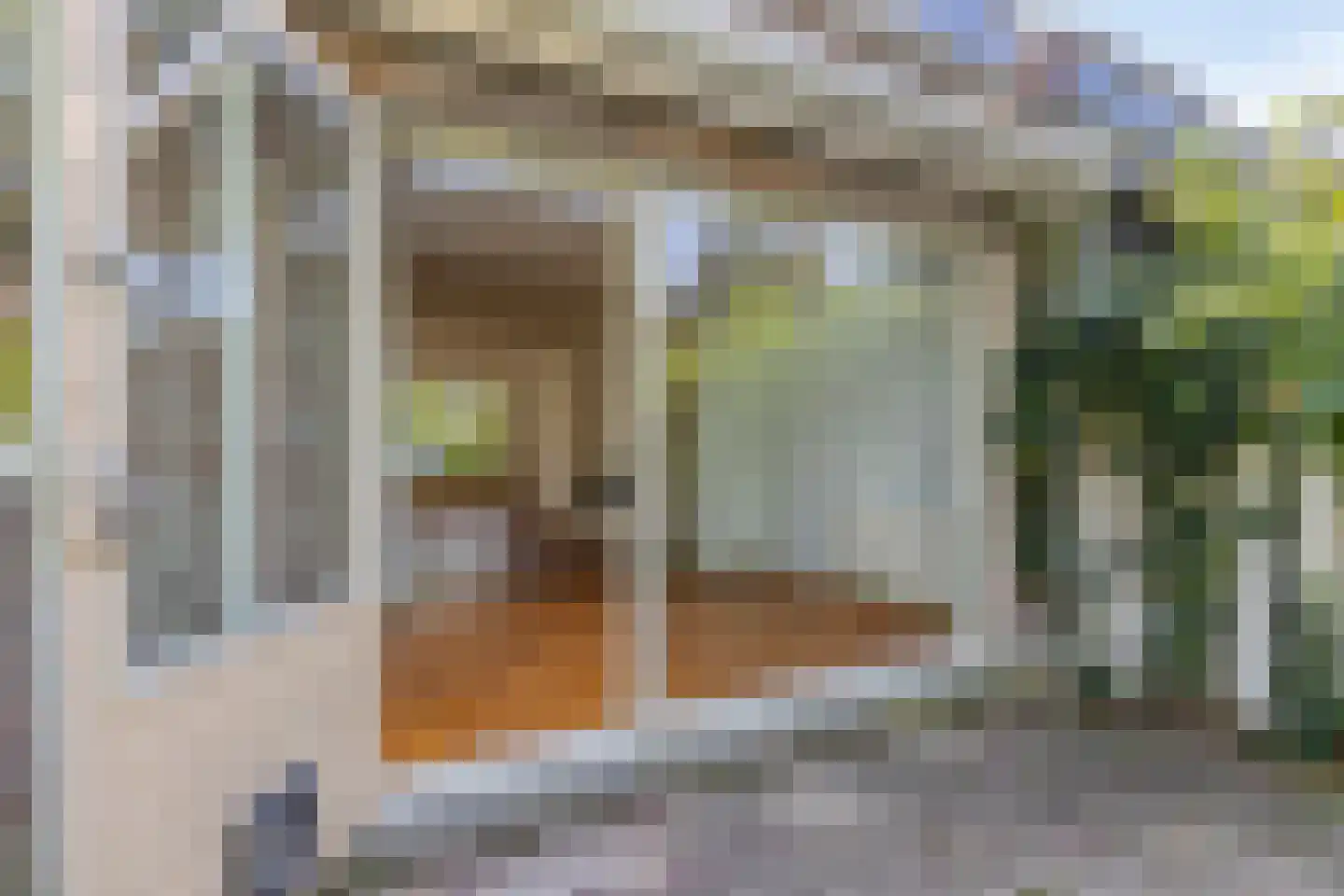De Meij van Streefkerkstraat 15 Leiden thumbnail 19