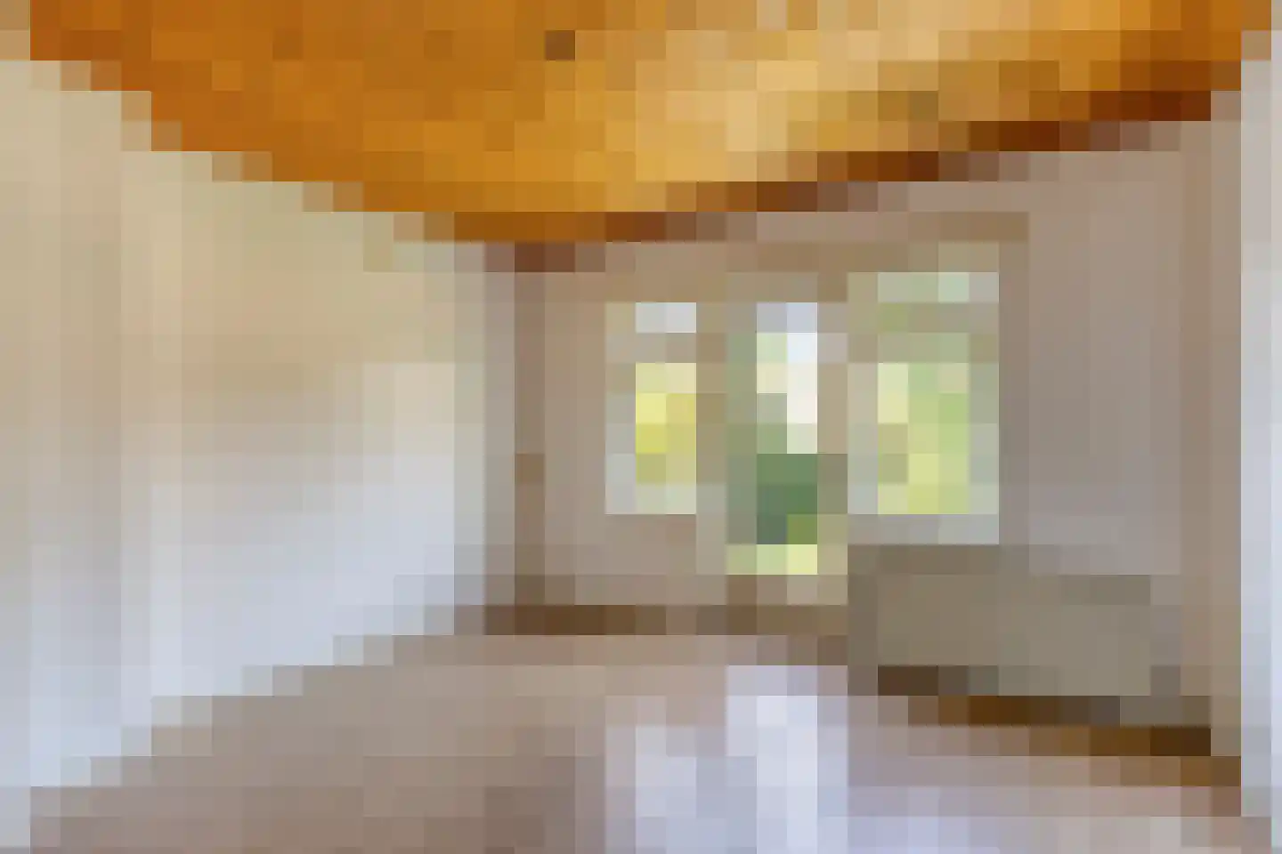 De Meij van Streefkerkstraat 15 Leiden thumbnail 21