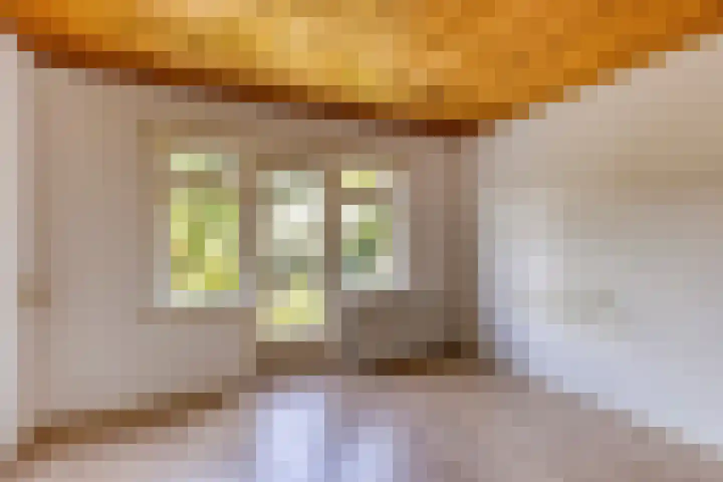 De Meij van Streefkerkstraat 15 Leiden thumbnail 23