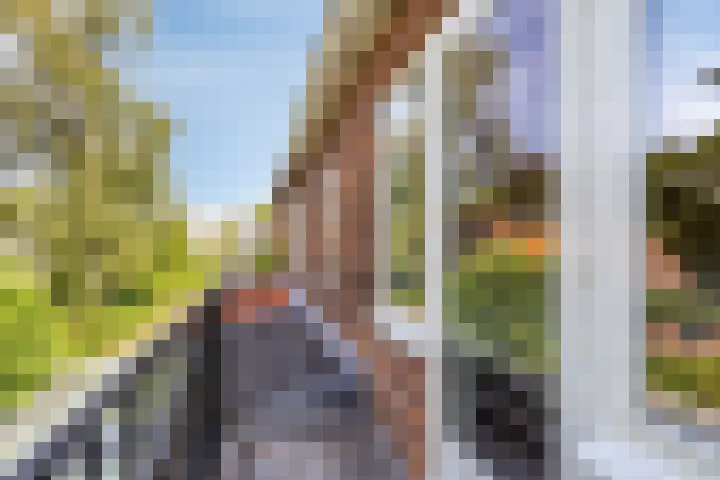 De Meij van Streefkerkstraat 15 Leiden thumbnail 24