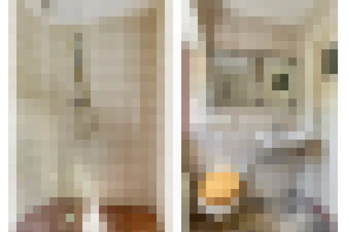 De Meij van Streefkerkstraat 15 Leiden thumbnail 26