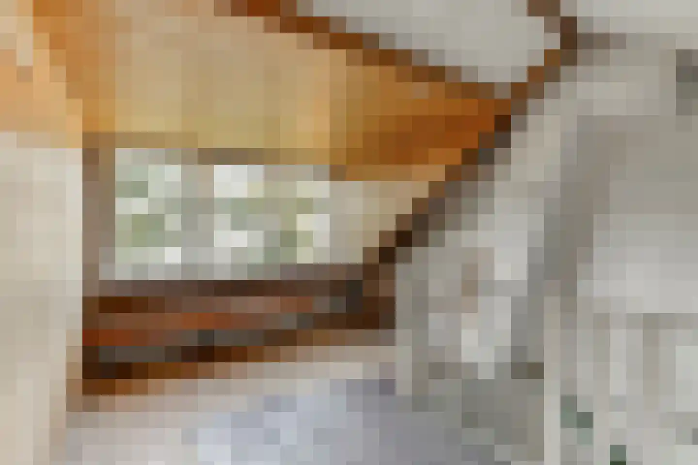 De Meij van Streefkerkstraat 15 Leiden thumbnail 31