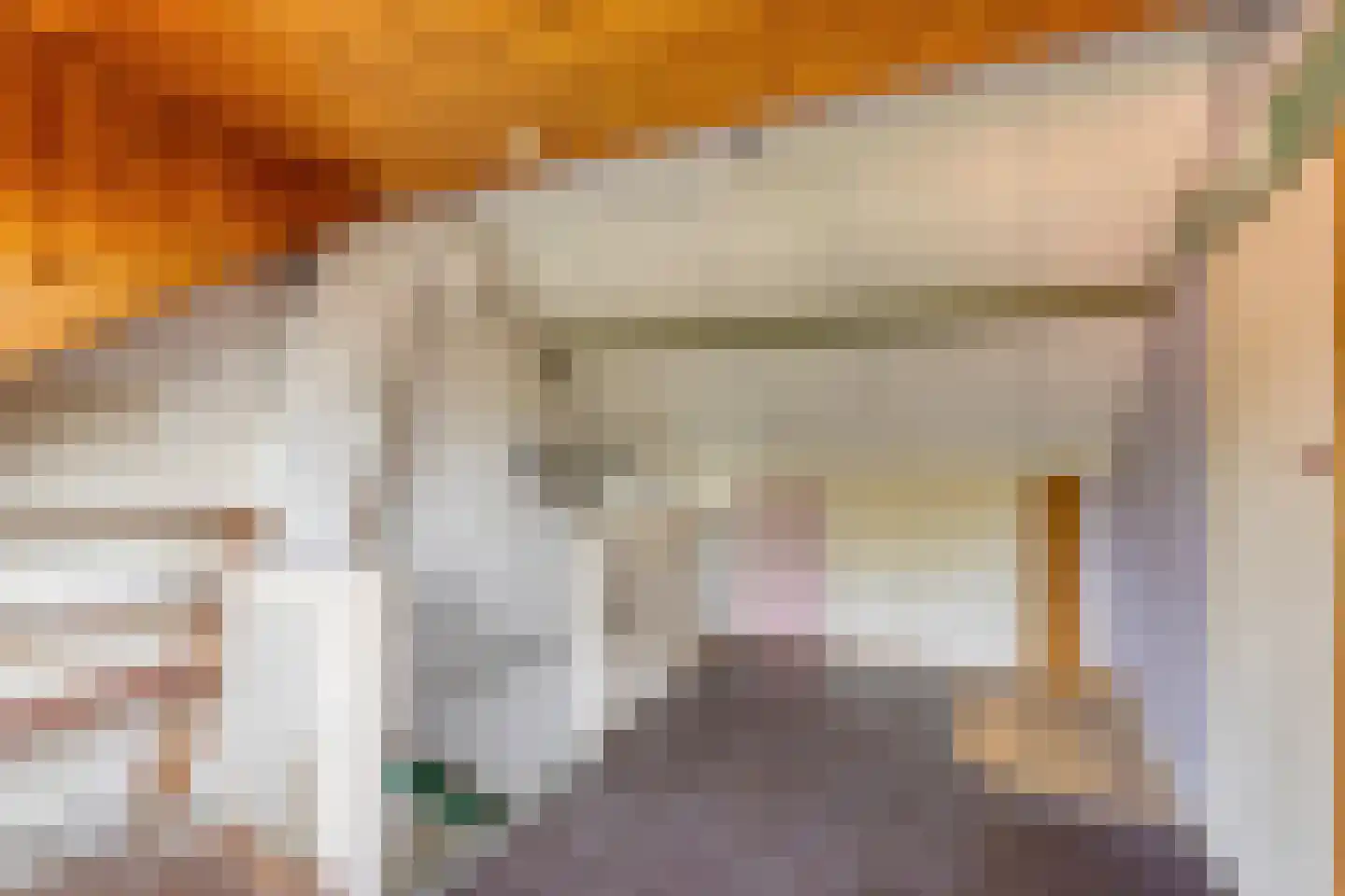 De Meij van Streefkerkstraat 15 Leiden thumbnail 32