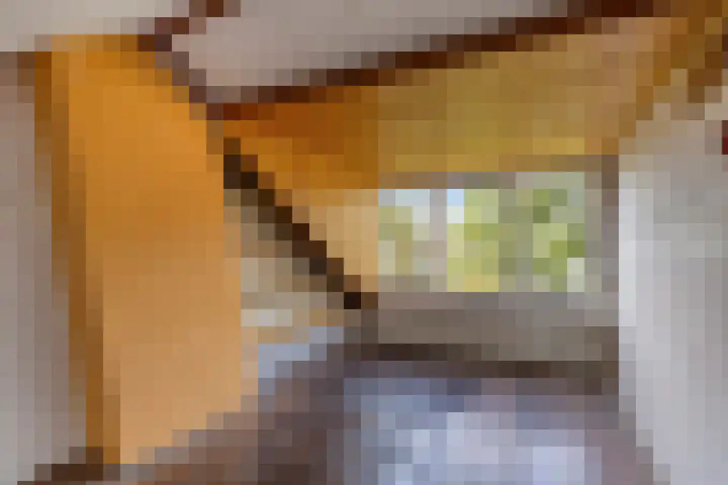 De Meij van Streefkerkstraat 15 Leiden thumbnail 33