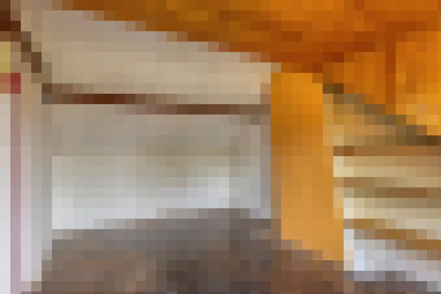 De Meij van Streefkerkstraat 15 Leiden thumbnail 34