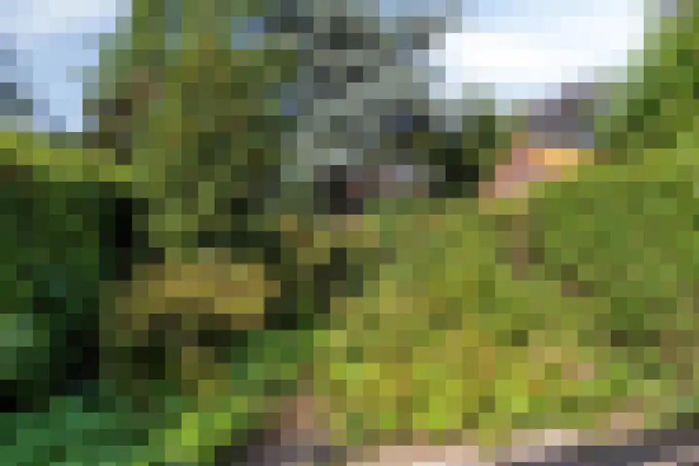 De Meij van Streefkerkstraat 15 Leiden thumbnail 35