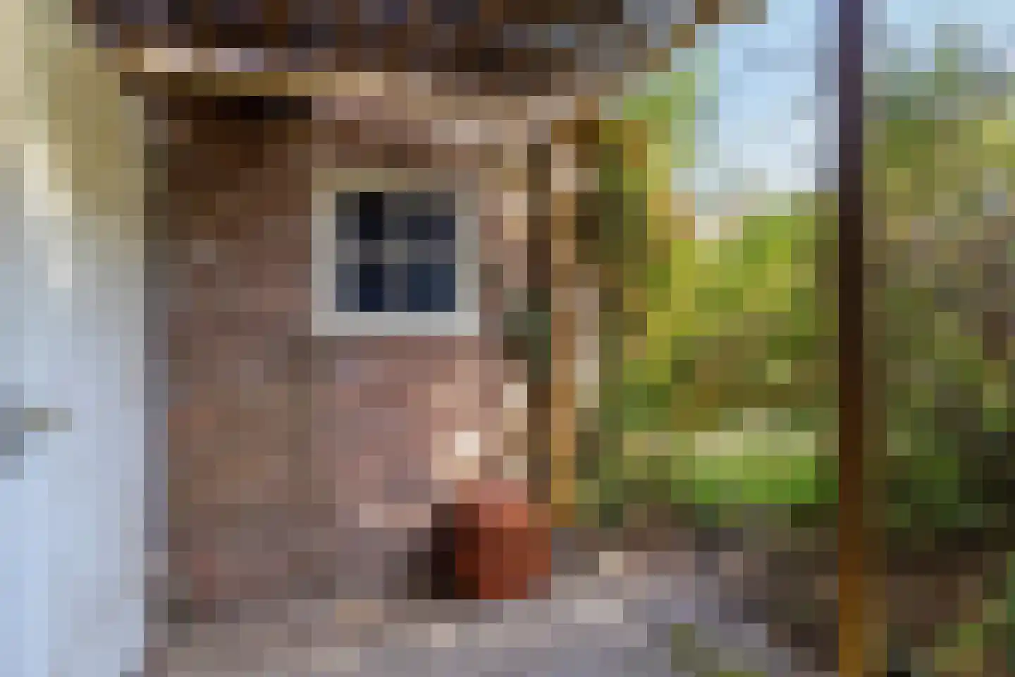De Meij van Streefkerkstraat 15 Leiden thumbnail 37