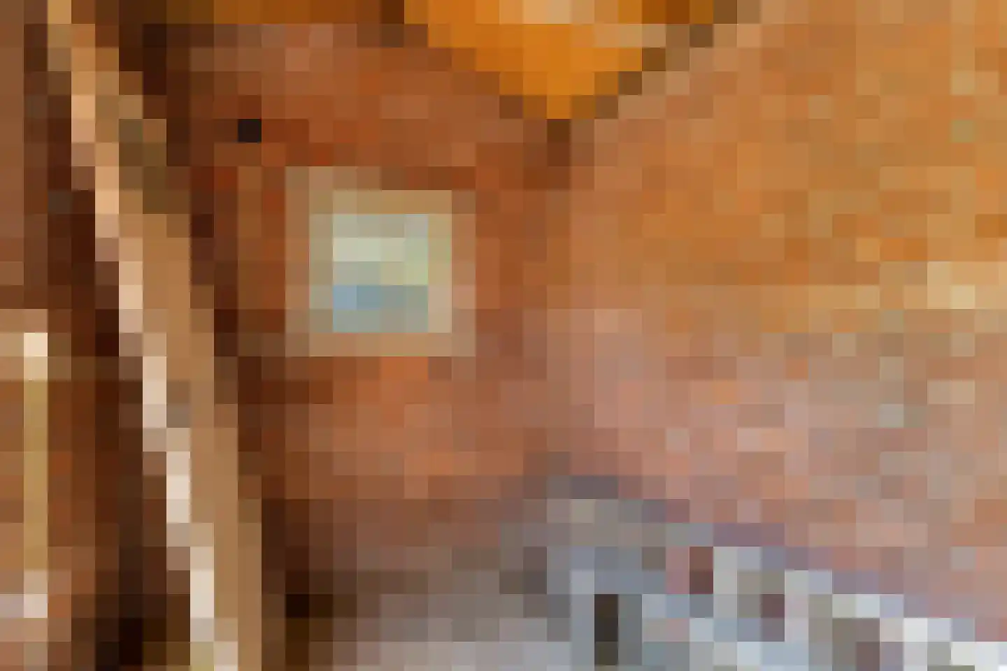 De Meij van Streefkerkstraat 15 Leiden thumbnail 38