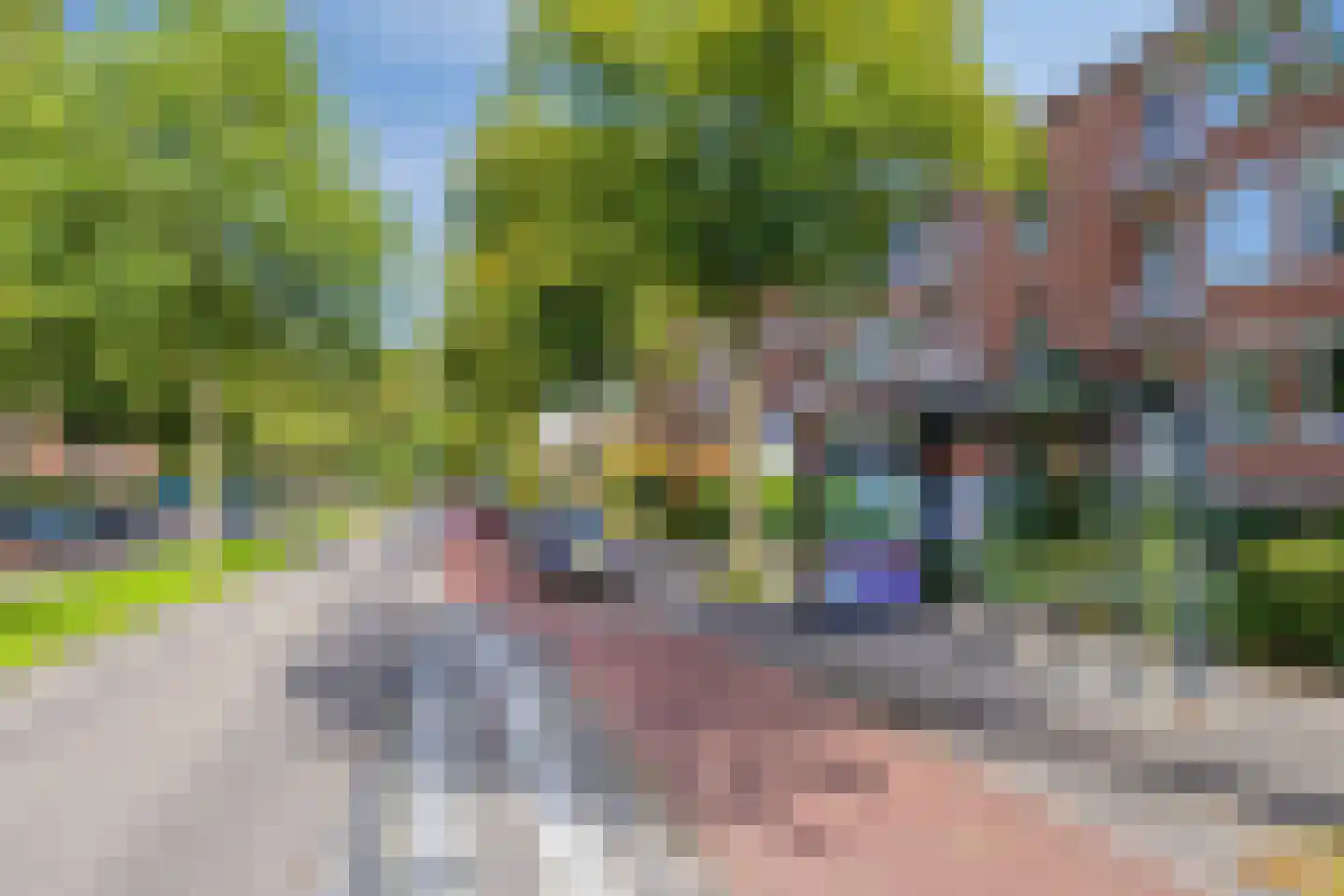 De Meij van Streefkerkstraat 15 Leiden thumbnail 40