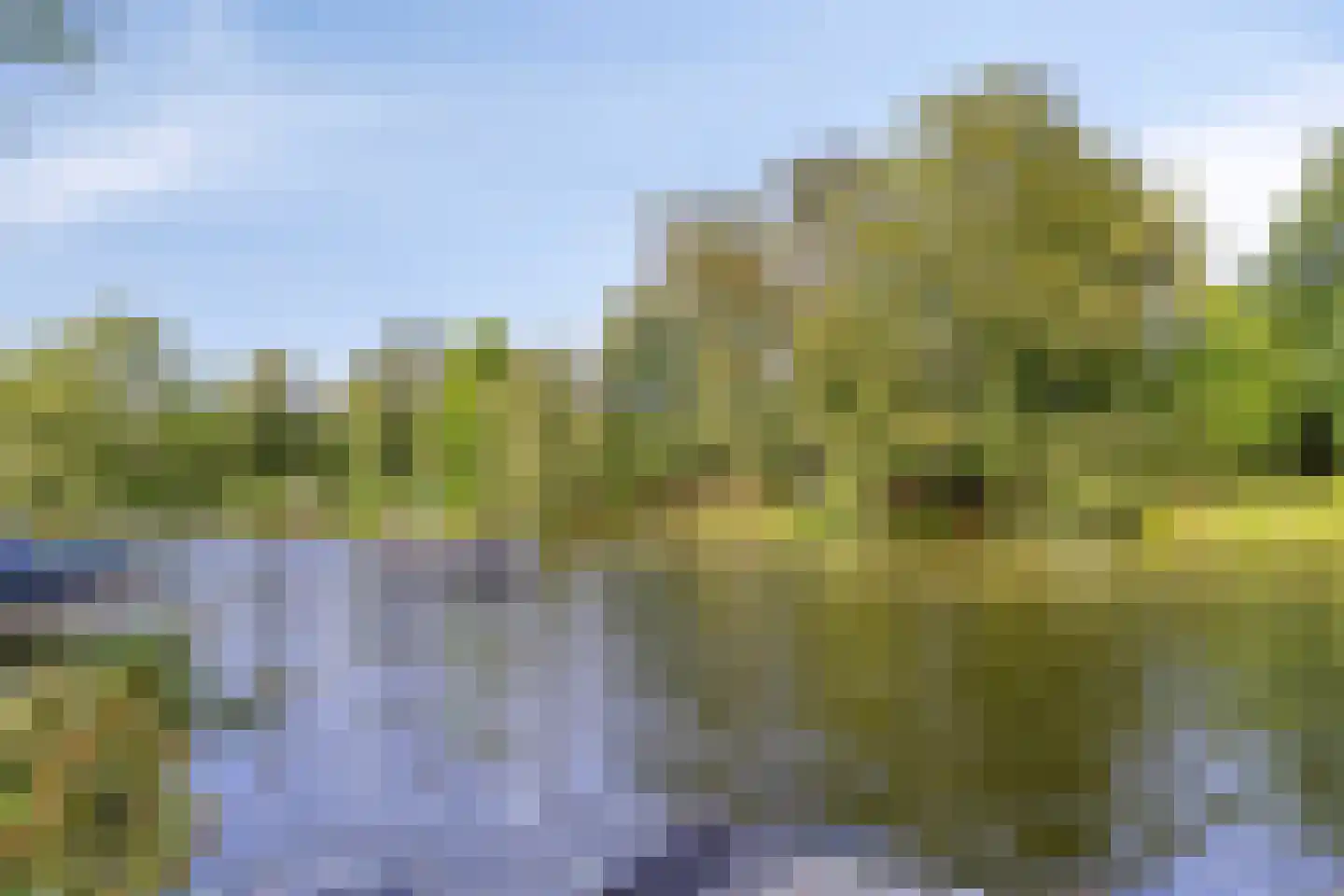 De Meij van Streefkerkstraat 15 Leiden thumbnail 42