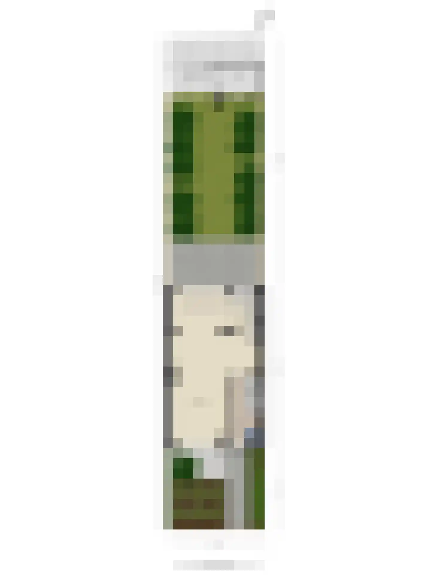 De Meij van Streefkerkstraat 15 Leiden thumbnail 47