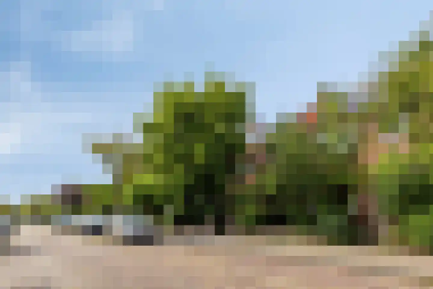 De Meij van Streefkerkstraat 15 Leiden thumbnail 5