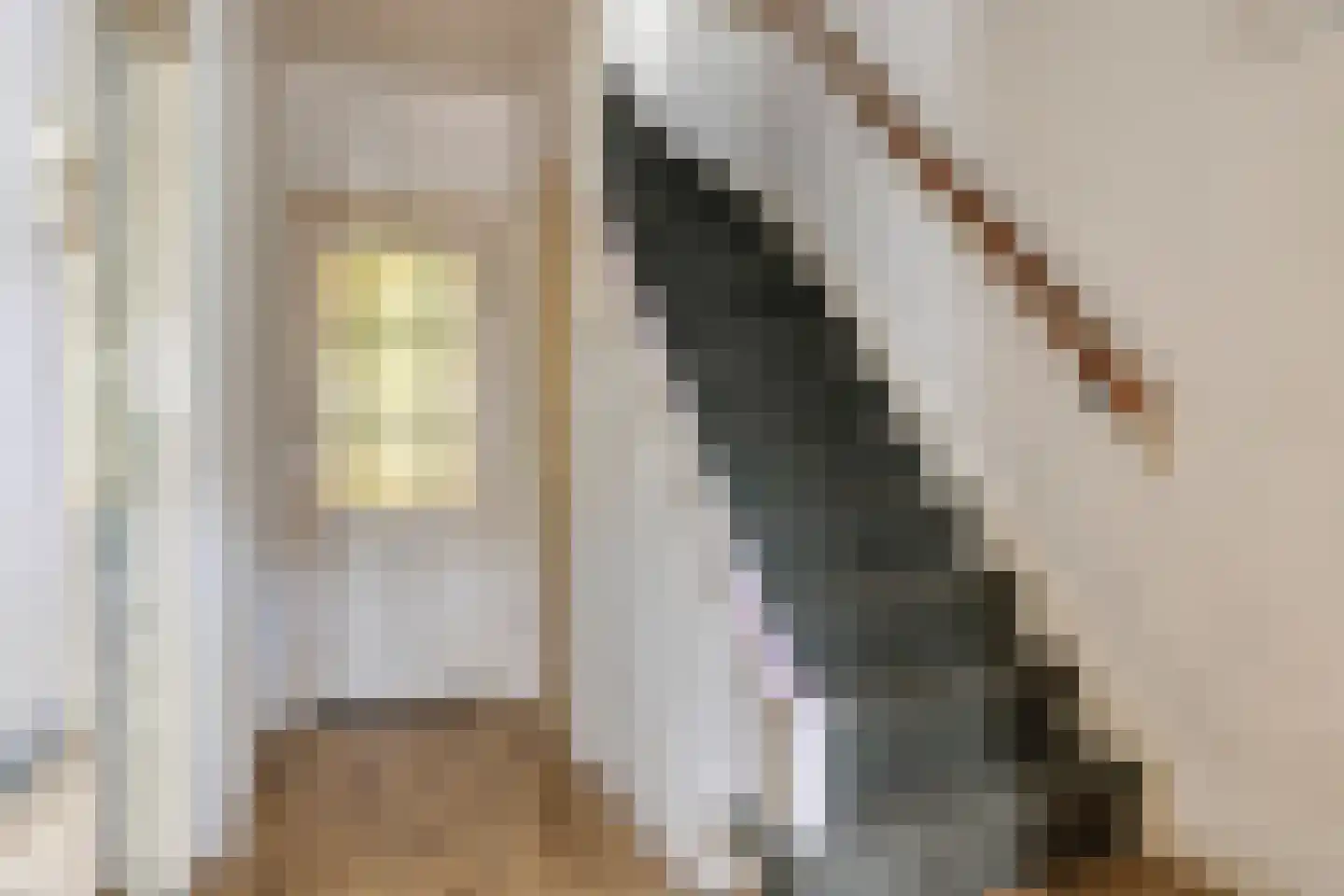 De Meij van Streefkerkstraat 15 Leiden thumbnail 7