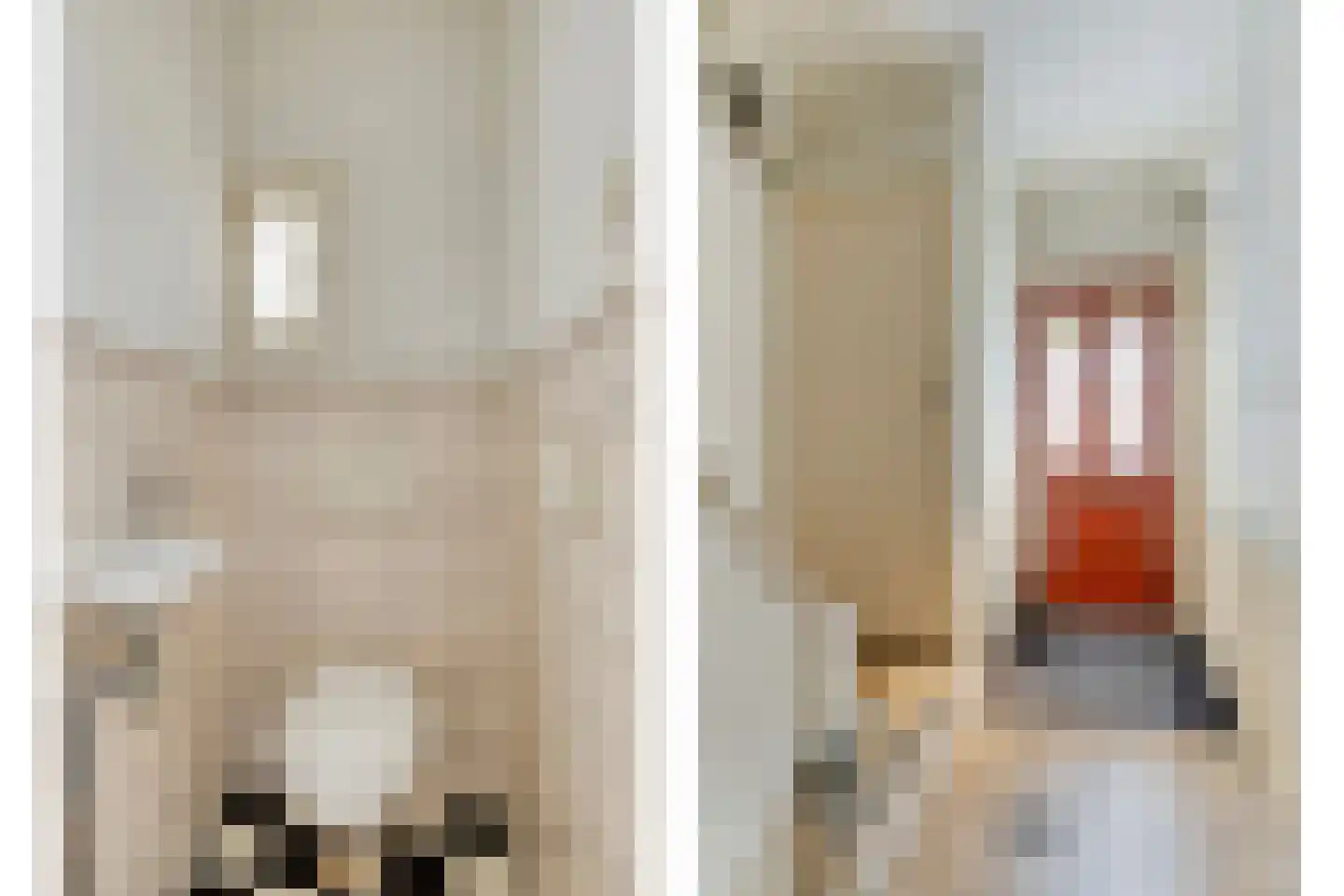 De Meij van Streefkerkstraat 15 Leiden thumbnail 8