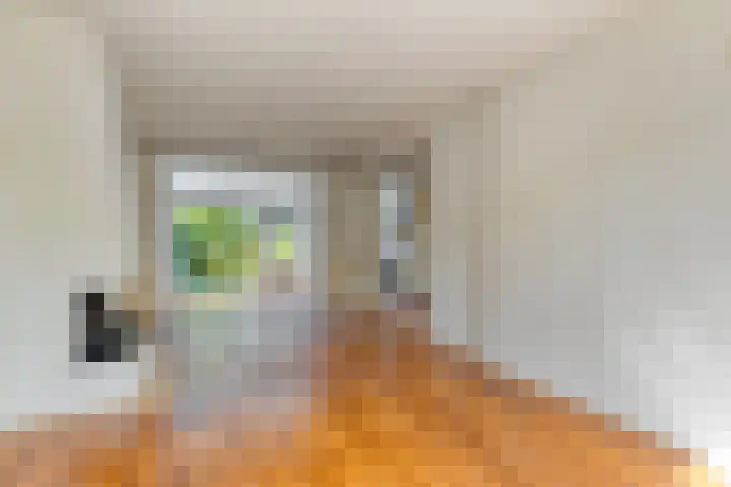 De Meij van Streefkerkstraat 15 Leiden thumbnail 9