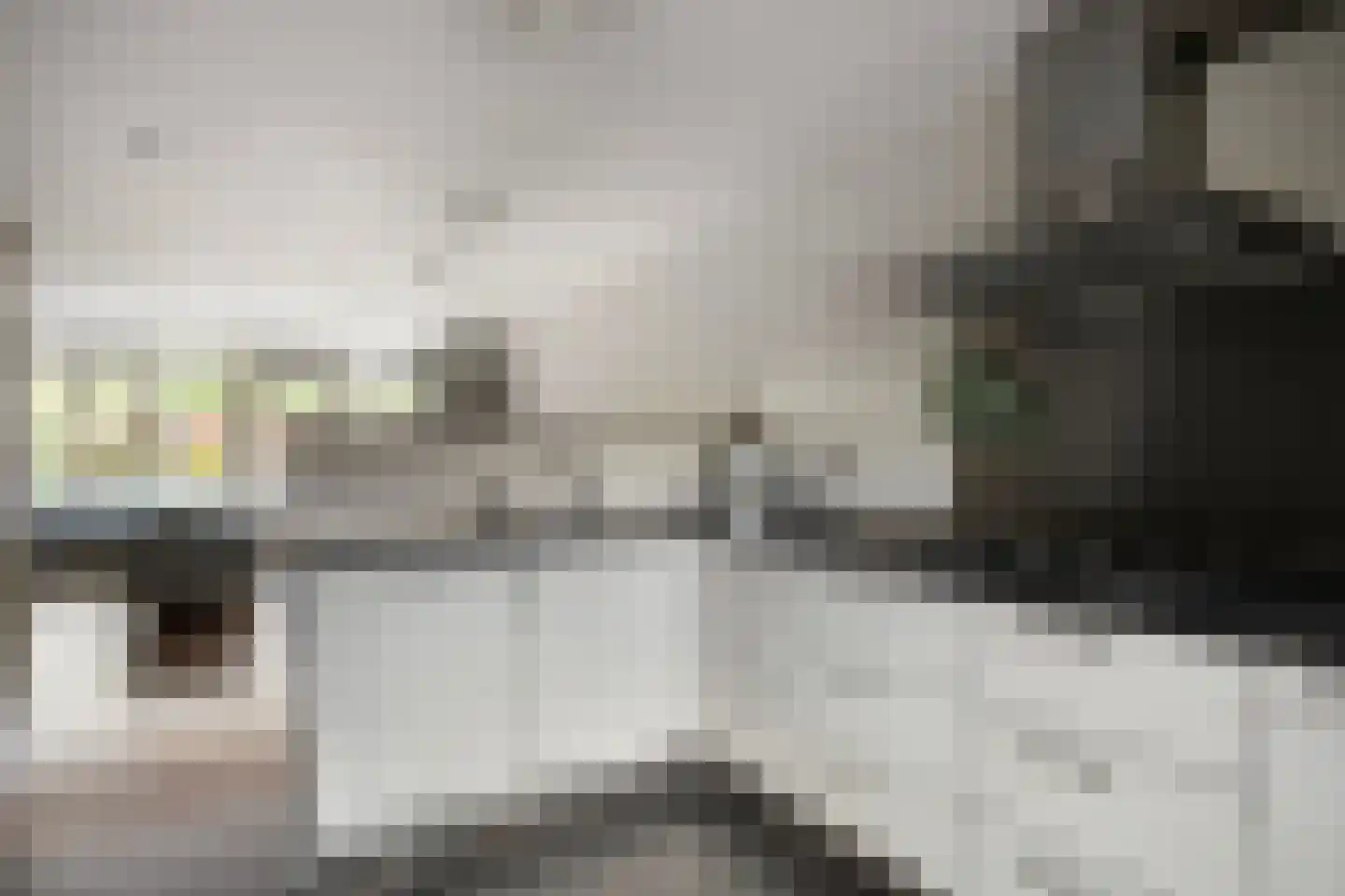 De Meij van Streefkerkstraat 74 Leiden thumbnail 10