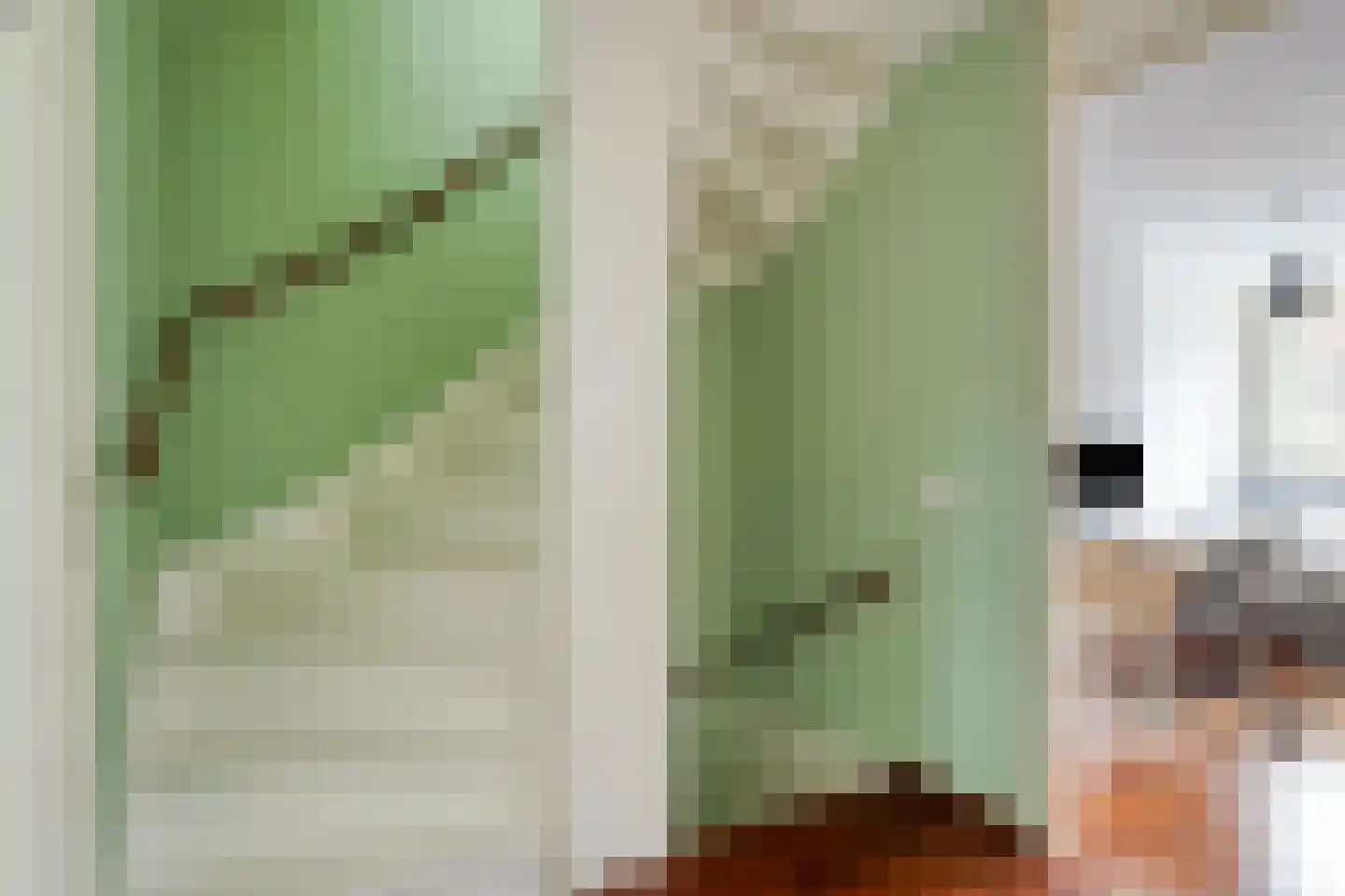 De Meij van Streefkerkstraat 74 Leiden thumbnail 12