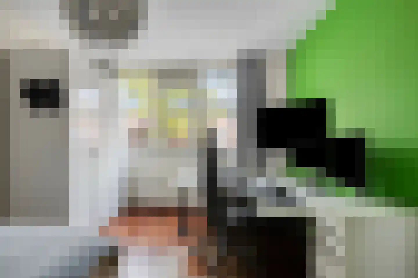 De Meij van Streefkerkstraat 74 Leiden thumbnail 14