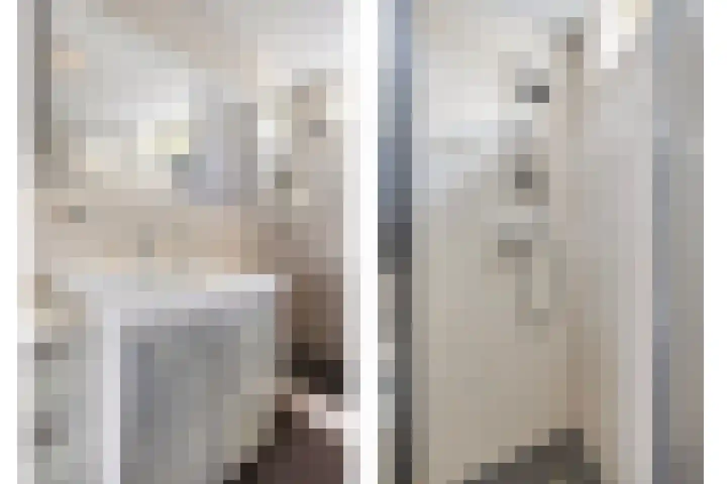 De Meij van Streefkerkstraat 74 Leiden thumbnail 20