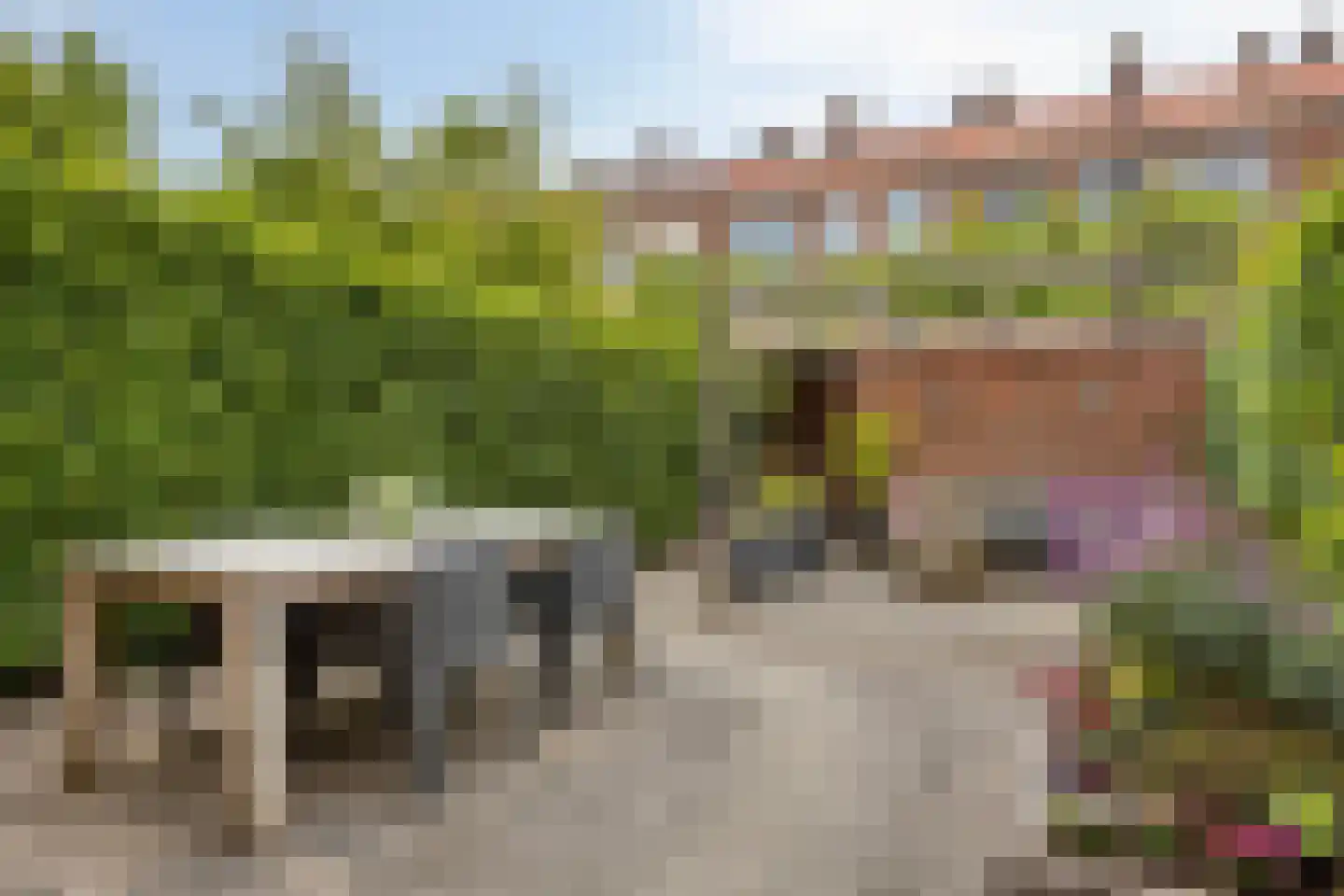 De Meij van Streefkerkstraat 74 Leiden thumbnail 31