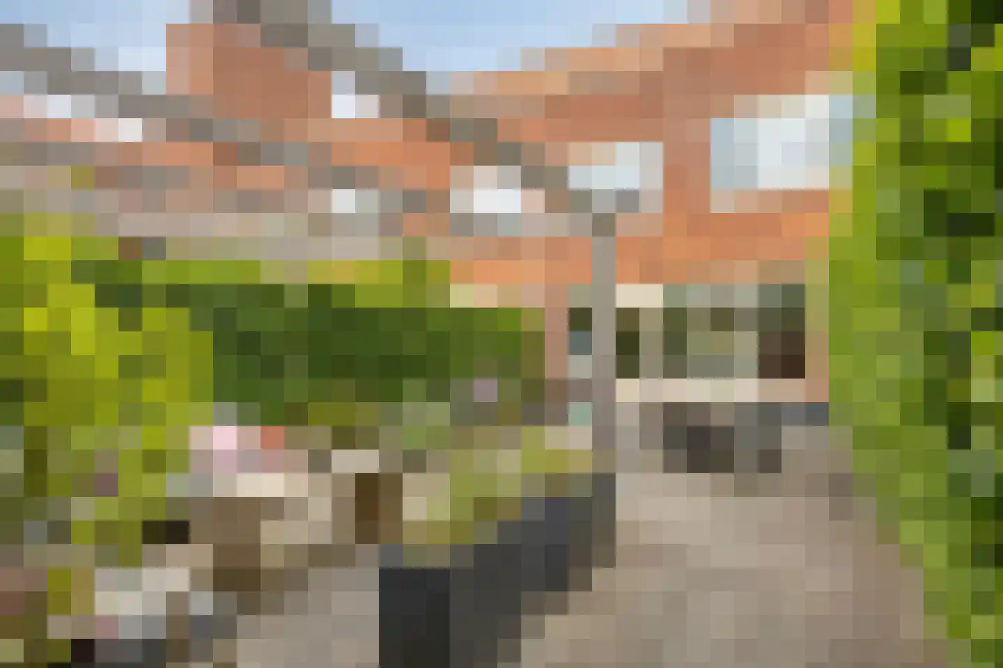 De Meij van Streefkerkstraat 74 Leiden thumbnail 33