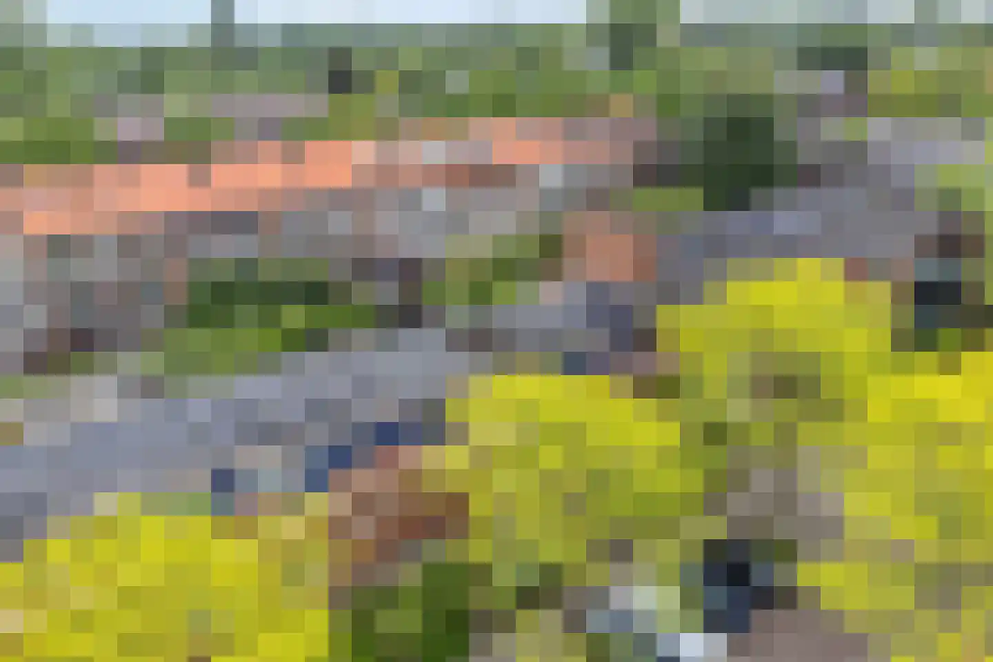 De Meij van Streefkerkstraat 74 Leiden thumbnail 37